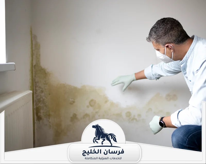 ازالة الرطوبة من المنزل الشارقة - فرسان الخليج فني يرتدي أدوات حماية أثناء معاينة جدار تظهر عليه آثار رطوبة وعفن متراكم.