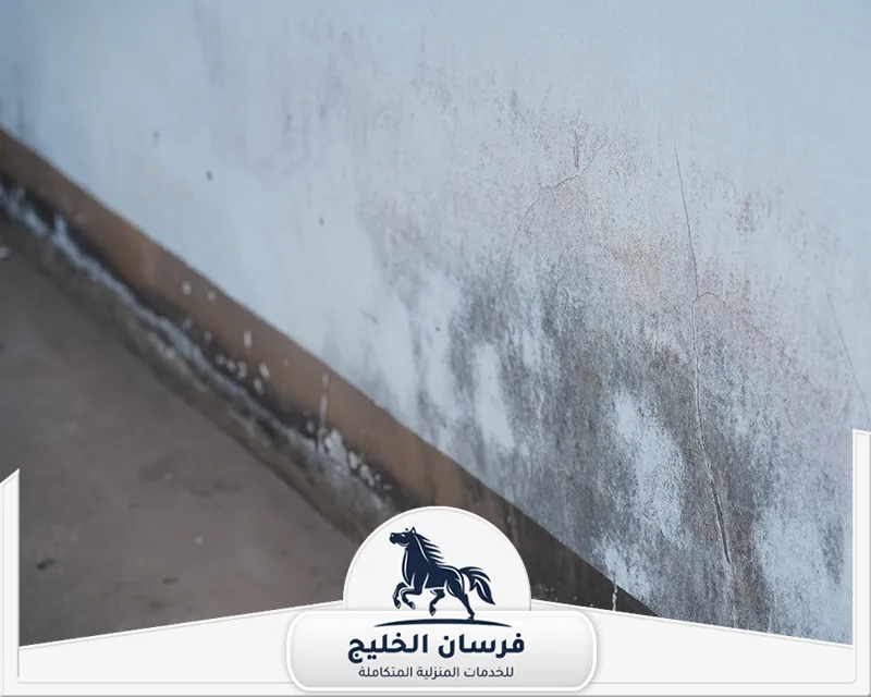 اسباب الرطوبة الجدران في الشارقة - فرسان الخليج تغير لون الجزء السفلي من الجدار بسبب تسرب الرطوبة وظهور بقع داكنة متفرقة.