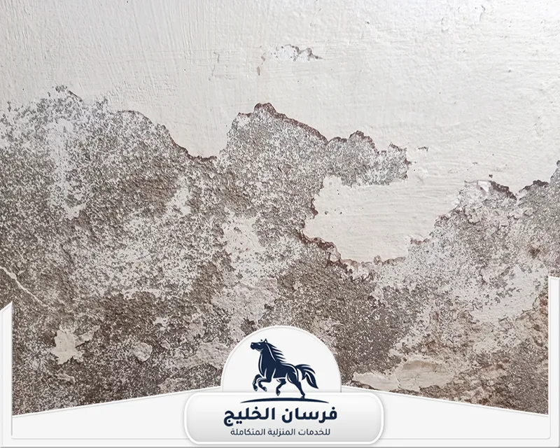 معالجة الرطوبة في الجدران في عجمان - فرسان الخليج تقشر شديد في طلاء الجدار مع ظهور أجزاء خشنة ومتضررة أسفل التشطيب.