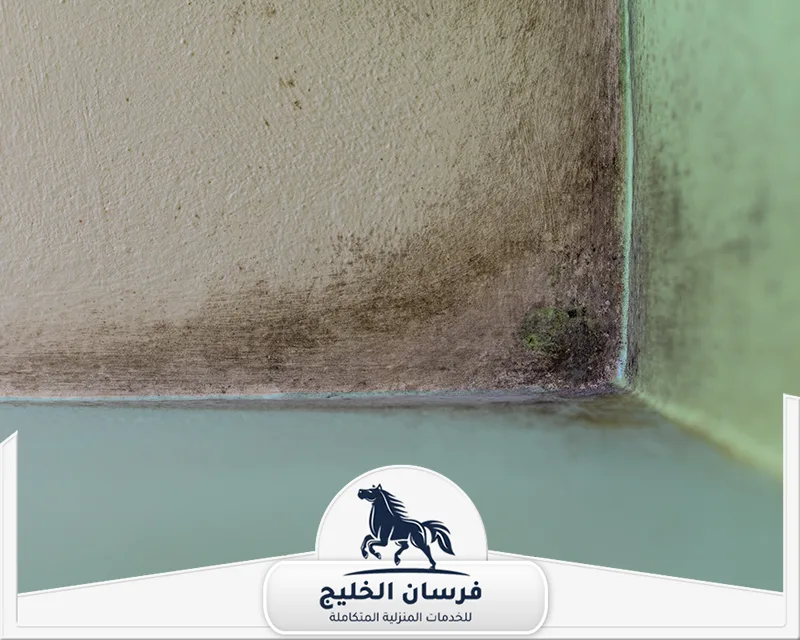 معالجة الرطوبة في الجدران الشارقة - فرسان الخليج جدار داخلي متأثر بالرطوبة مع بقع عفن سوداء وخضراء ظاهرة عند الزاوية.