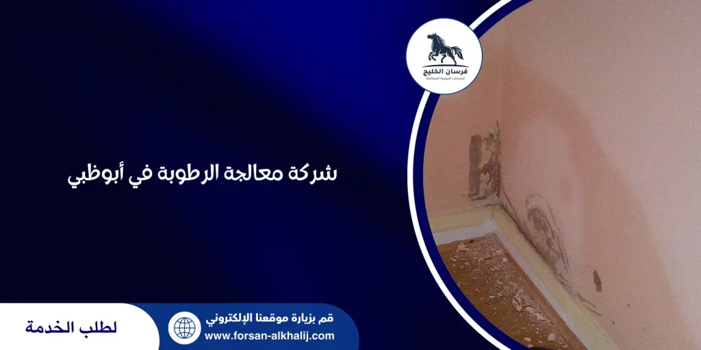 شركة معالجة الرطوبة في أبوظبي