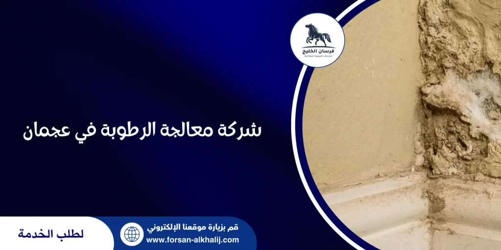 شركة معالجة الرطوبة في عجمان