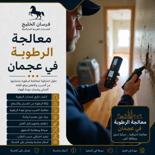 معالجة الرطوبة في عجمان