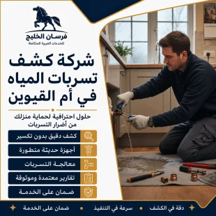 شركة كشف تسربات المياه في أم القيوين
