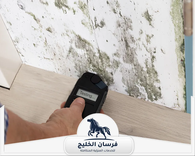 الرطوبة في الجدران في دبي - فرسان الخليج قياس نسبة الرطوبة في جدار متضرر تظهر عليه بقع خضراء وسوداء من العفن.