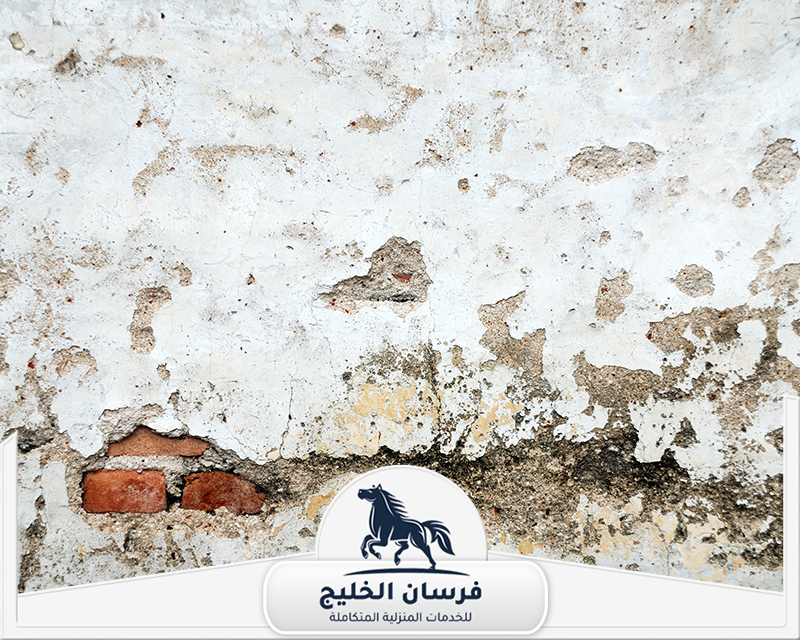 خدمات شركة معالجة الرطوبة في دبي - فرسان الخليج جدار متضرر بالرطوبة مع تقشر الطلاء وظهور أجزاء من الطوب.