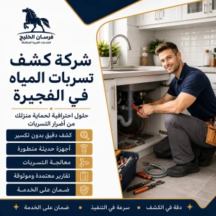 شركة كشف تسربات المياه في الفجيرة