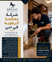 شركة معالجة الرطوبة في دبي
